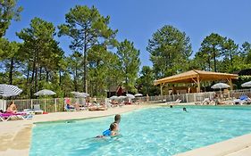 Les Oyats Sylvadoures